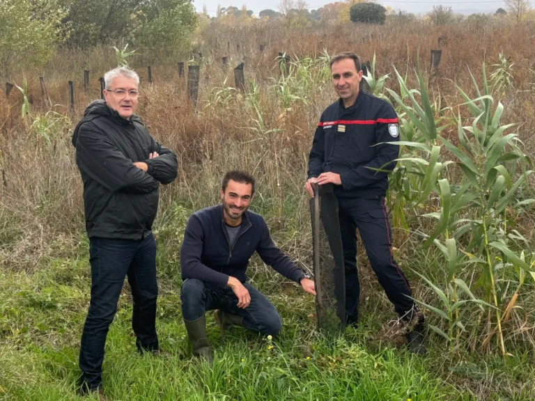 Visite du site de Gignac